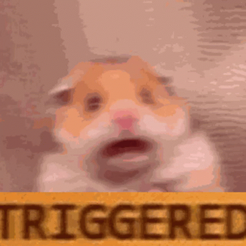 Me internally when my site rebuilt for a typo fix